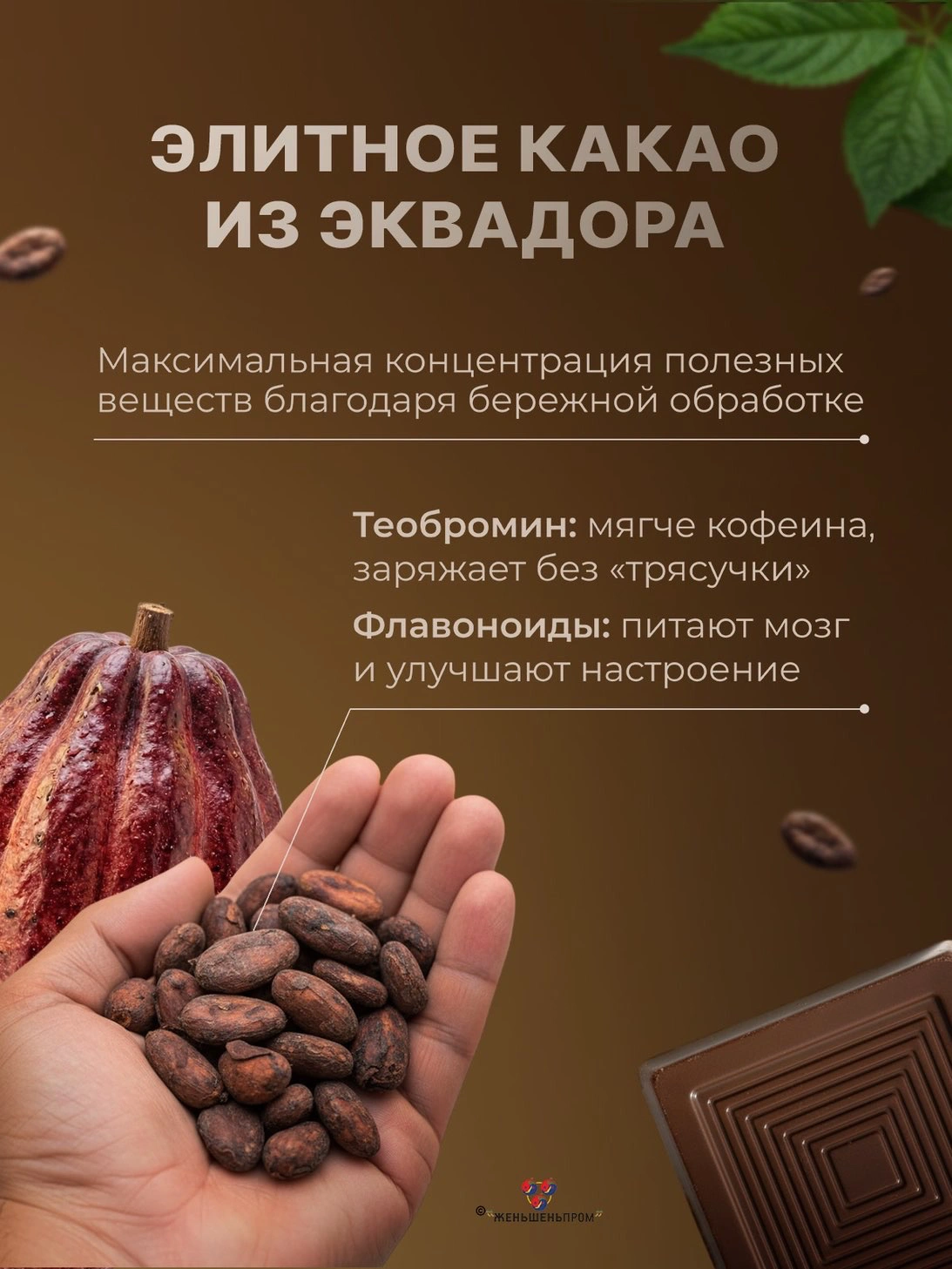 Чёрный квадрат БЕЛОГО ИМПЕРАТОРА, 50 г шоколад с женьшенем Чёрный квадрат БЕЛОГО ИМПЕРАТОРА, 50 г шоколад с женьшенем
